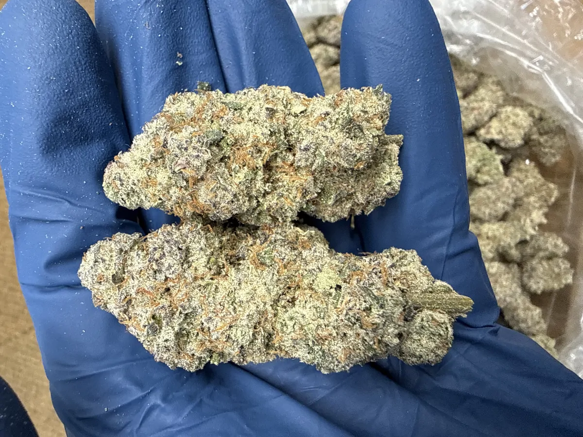 Black Cherry Runtz Flower